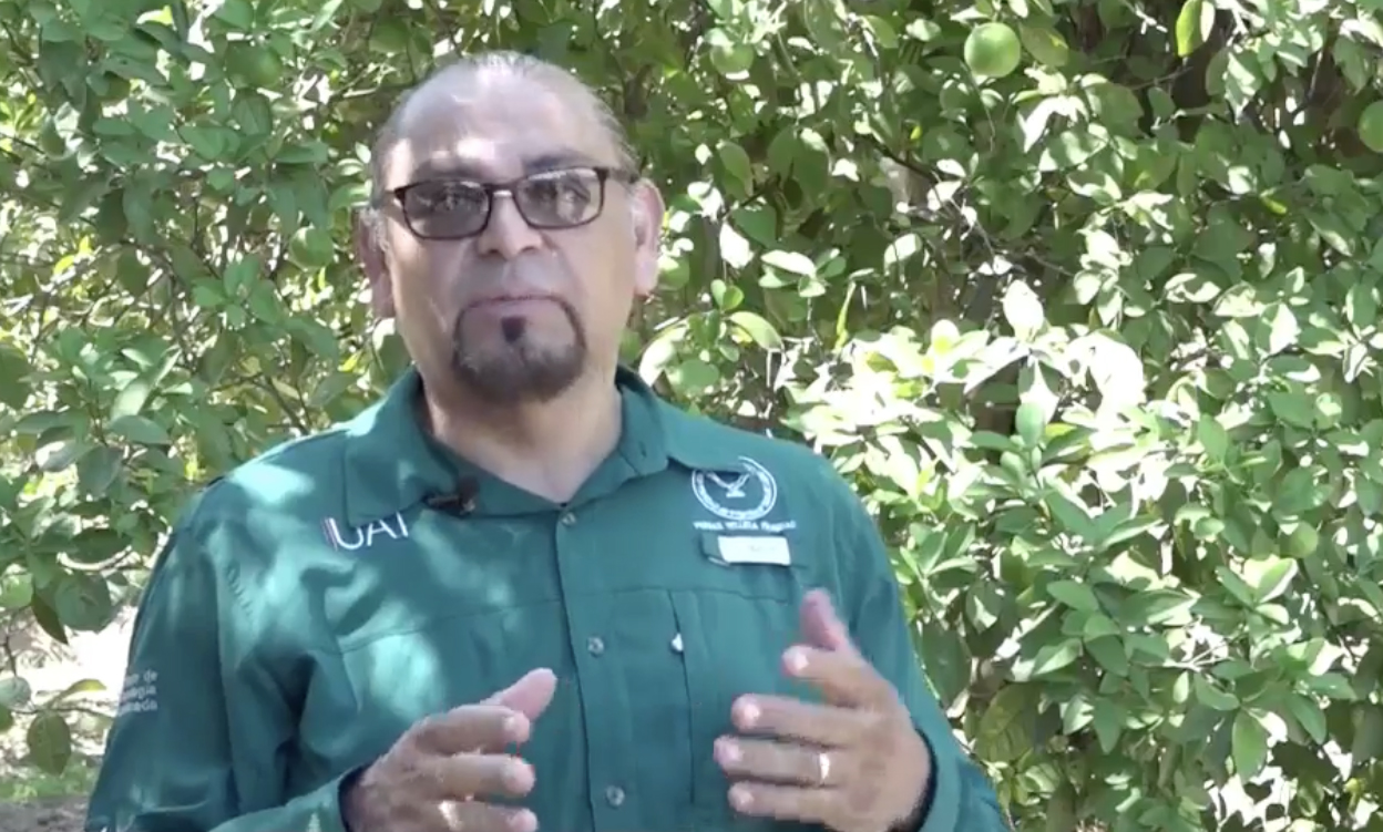 Aporta UAT innovaciones para la producción citrícola en Tamaulipas