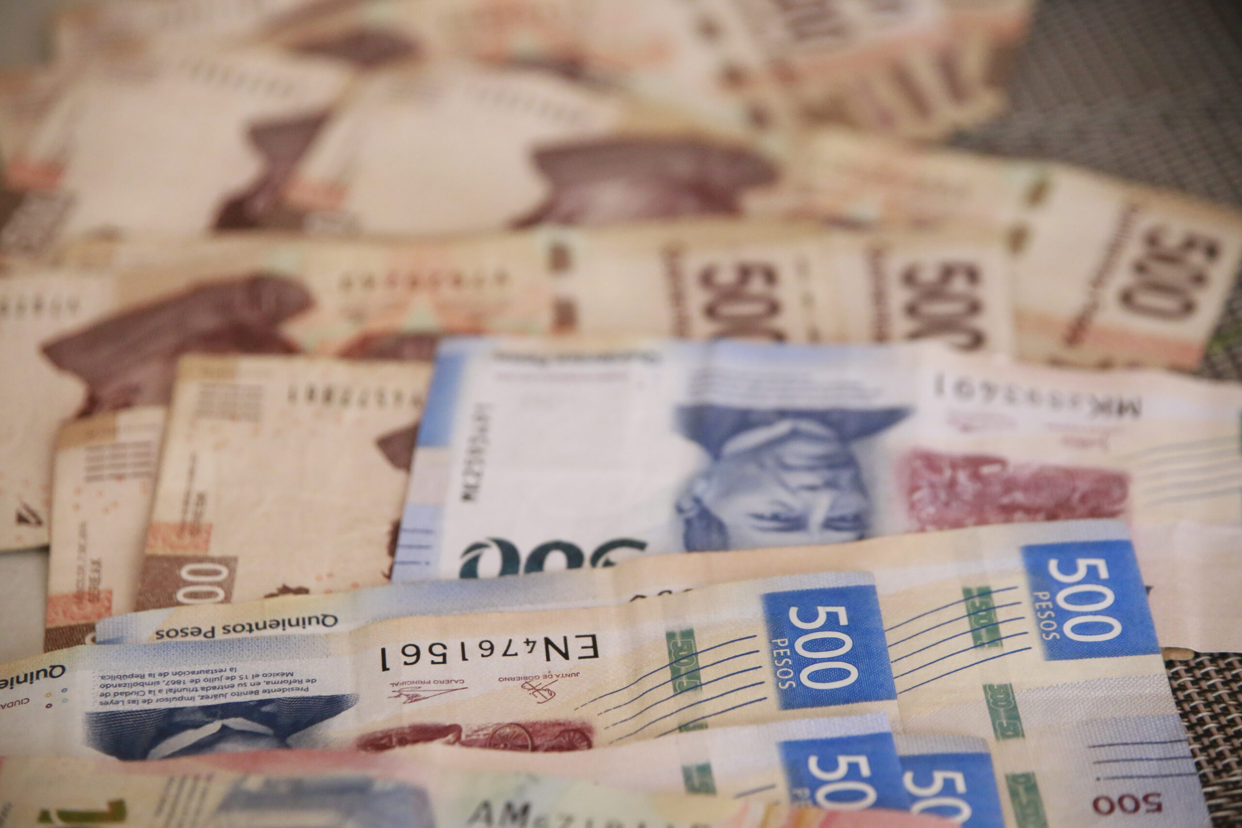PGPE 2025: urge atender otras necesidades económicas según el CEESP