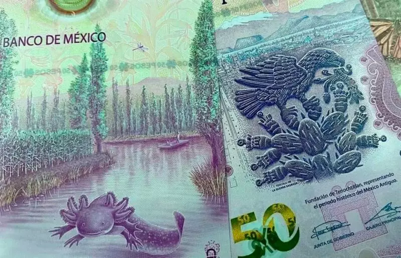 Cuidado con gastar todo tu aguinaldo; primero planifica