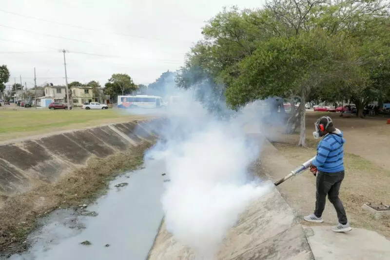 Encabeza Mónica Villarreal Frontal Combate al Dengue