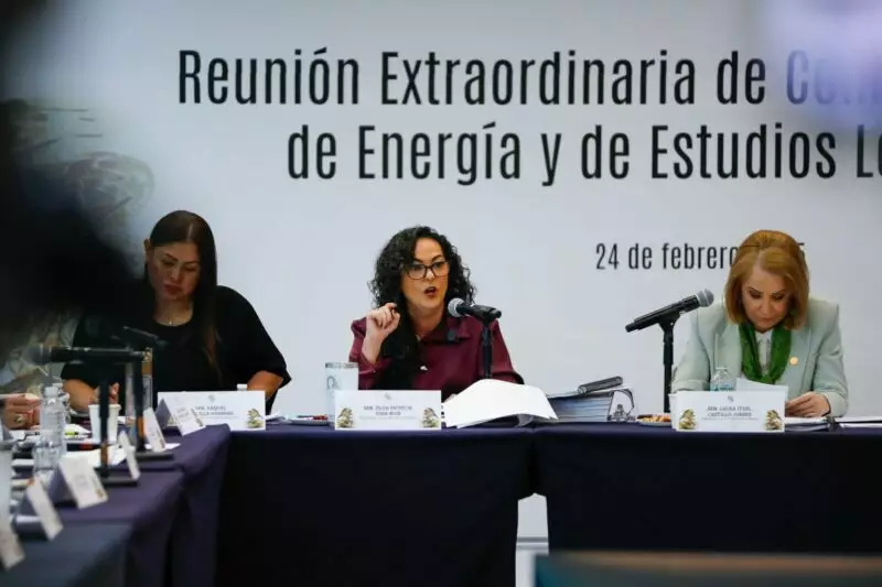 Con la reforma energética, se cumplirá la función social de proveer al pueblo de electricidad y gasolina al menor costo posible: Olga Sosa
