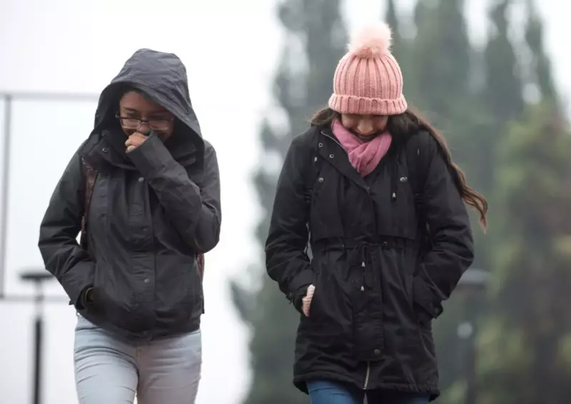Llega nuevo frente frío a México; estos serán los estados afectados