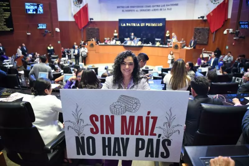 El maíz elemento de identidad nacional, diversidad será protegida por la Constitución: Olga Sosa