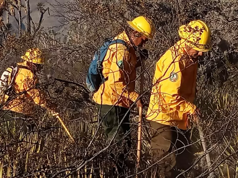 Refuerzan brigadistas de la SEDUMA combate a incendio de pastizales en Tula