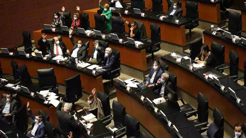 Senado impugnará candidatos en elección judicial por presuntos nexos con narcos
