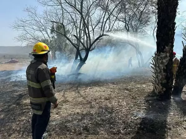 Exhorta Protección Civil a extremar precauciones por intensa ola de calor