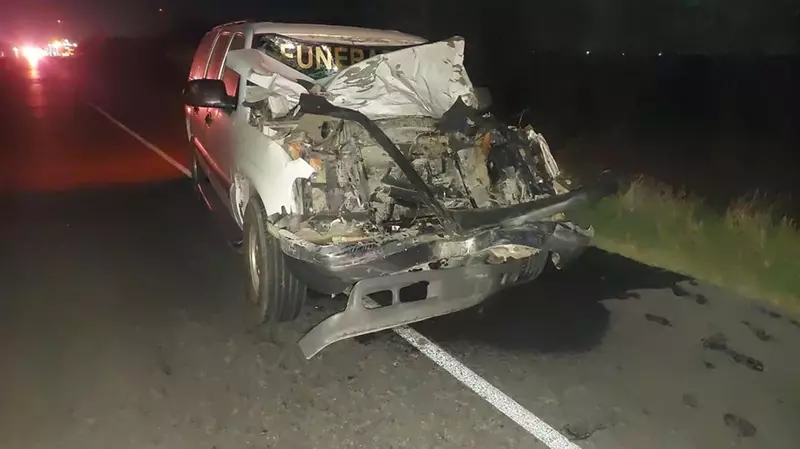Camioneta funebre arrolla y mata un toro en el libramiento