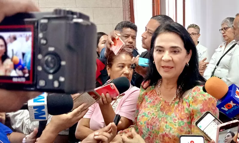 Son reductores de velocidad y no topes: Mónica Villarreal