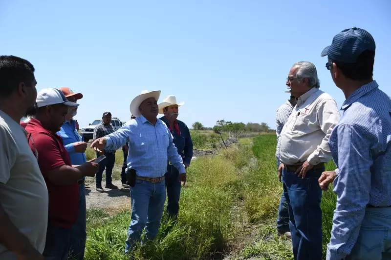 Supervisa secretario de Desarrollo Rural siembra de arroz