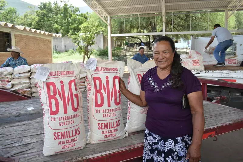 Abre Gobierno del Estado ventanillas para el registro de semilla de calidad