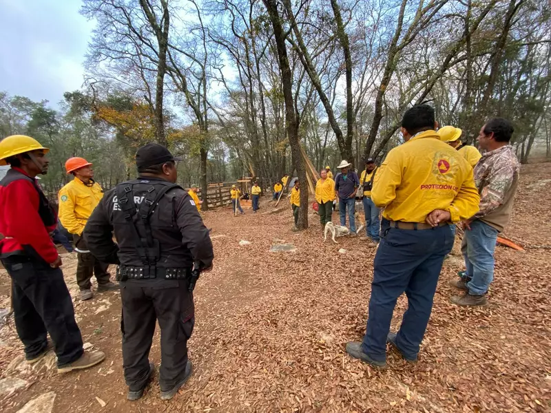 A través del Plan Tamaulipas se suma Guardia Estatal al combate del incendio forestal en la Biósfera El Cielo