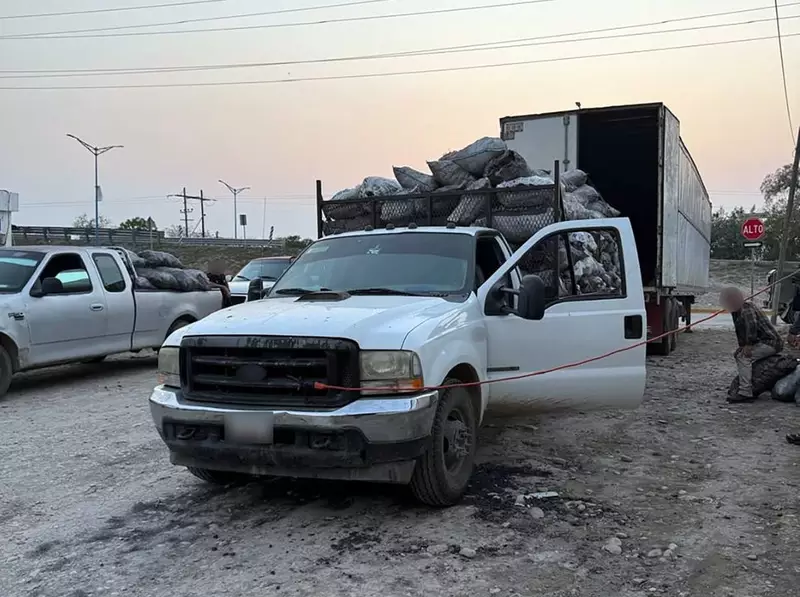 FGR asegura 14 toneladas de carbón vegetal durante cateo en Tamaulipas