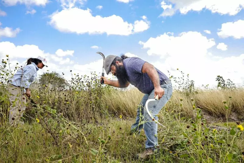 Realiza INJUVE Tamaulipas Segunda Jornada de Reforestación Comunitaria en Valle Hermoso