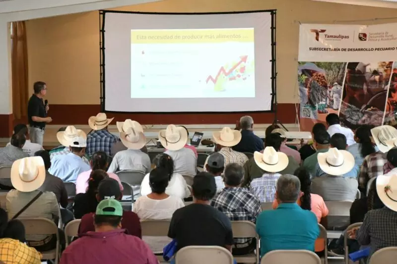 Promueven el uso del nopal como estrategia alimentaria sustentable