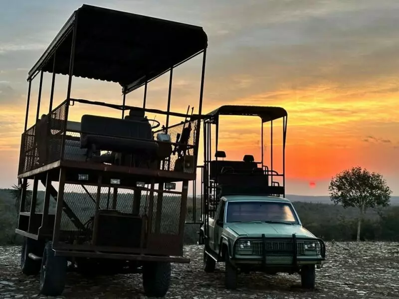 Es Tamaulipas líder nacional en turismo cinegético y pesca deportiva: Sectur