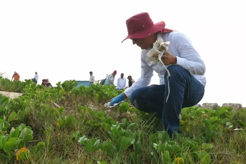 Activan Tamaulipas y Federación  acciones para conservación de playas