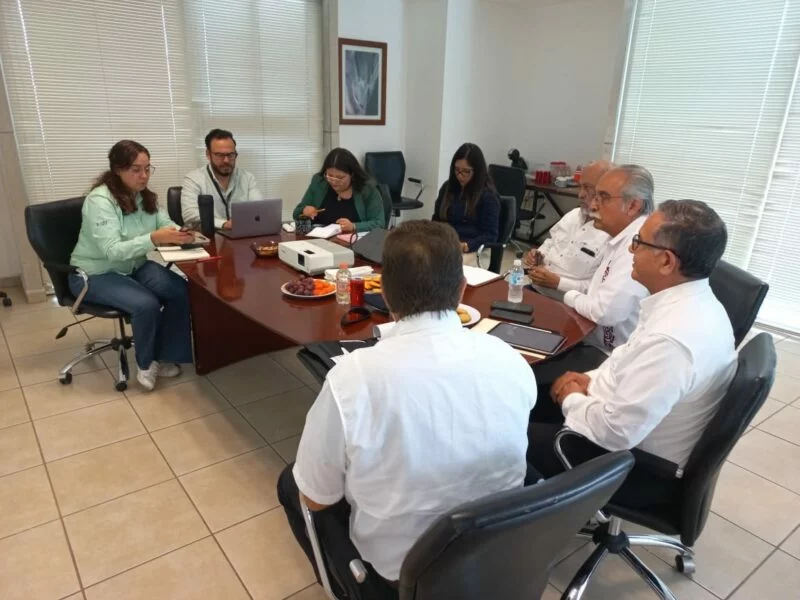 Realizan segunda prueba para la fabricación de harina nixtamalizada de sorgo blanco