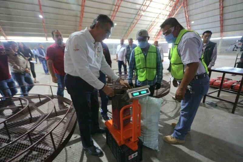 Iniciará operaciones empacadora de carbón vegetal “El Bernal”