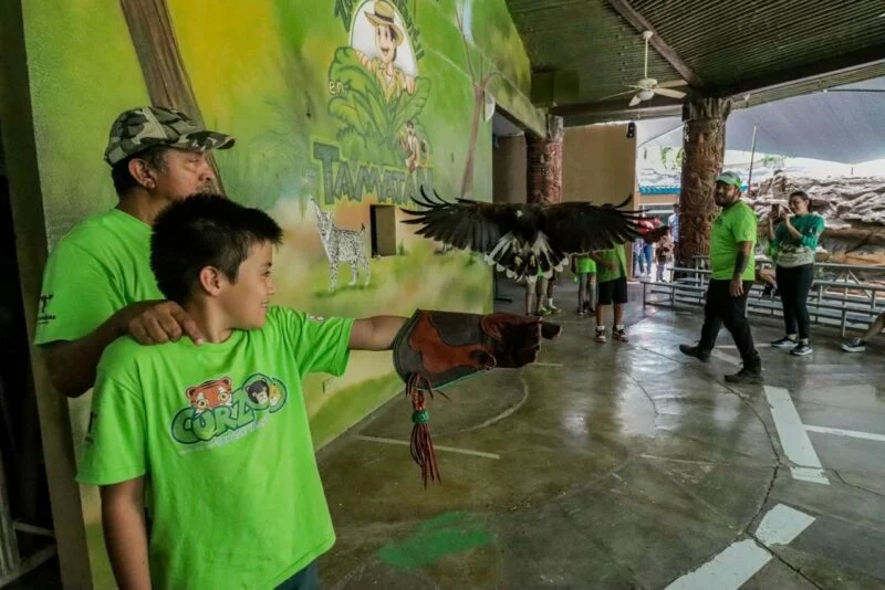 Curzoo, una opción al conocimiento y la diversión: Comisión de Parques