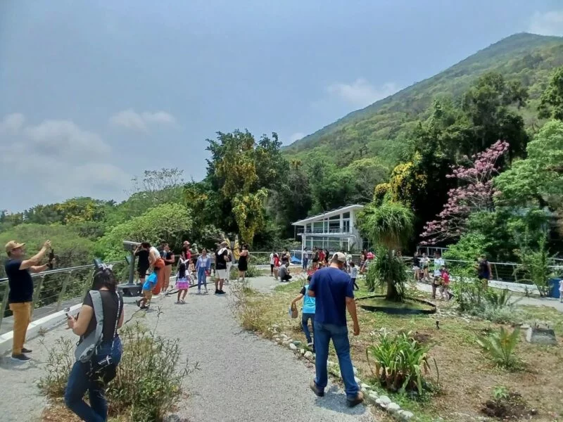 Tiene Tamaulipas una gran riqueza de aves : Comisión de Parques