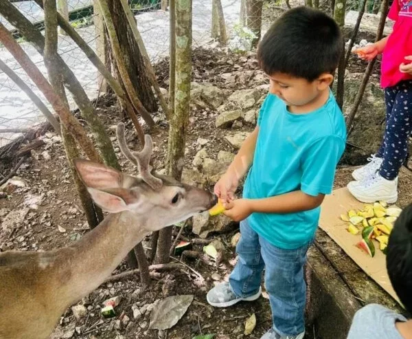 Genera Comisión de Parques guardianes de la naturaleza