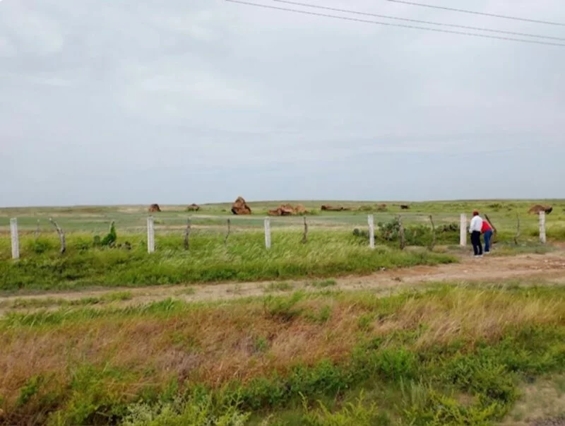 Regulariza ITAVU más de 800 colonias y asentamientos en Tamaulipas