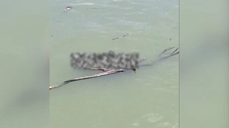 Localizan cuerpo en el canal de navegación del río Pánuco en Madero