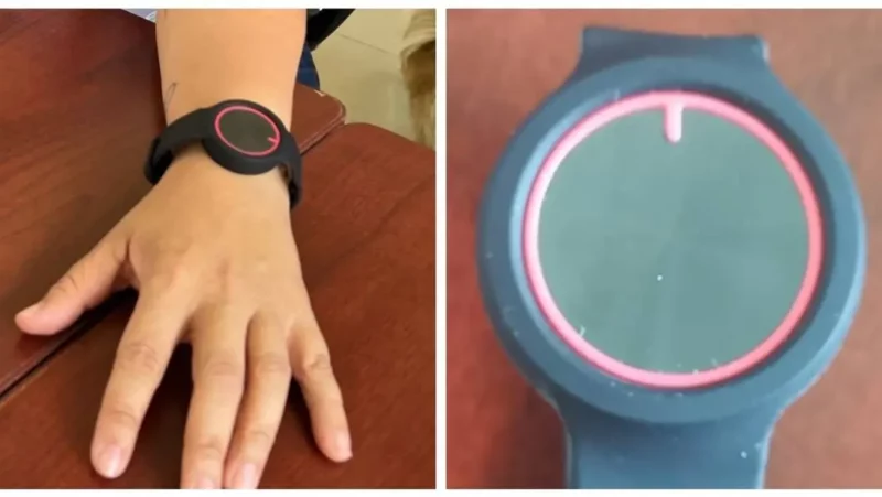 Tamaulipas implementara pulseras de panico para mujeres en riesgo de violencia