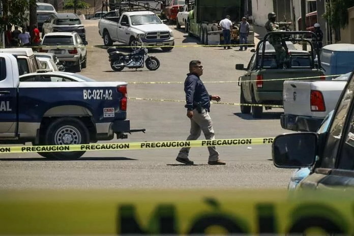 Se reduce 32% el promedio de homicidios diarios de septiembre de 2024 a 2025: SNSP