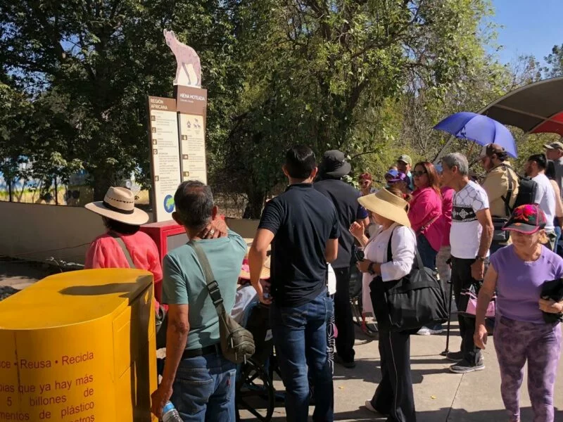 Fomenta Comisión de Parques la inclusión social con actividades recreativas para adultos mayores