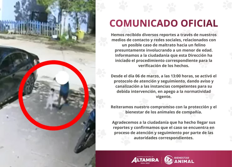 Altamira activa protocolo tras reportes de presunto maltrato animal vinculado a un menor
