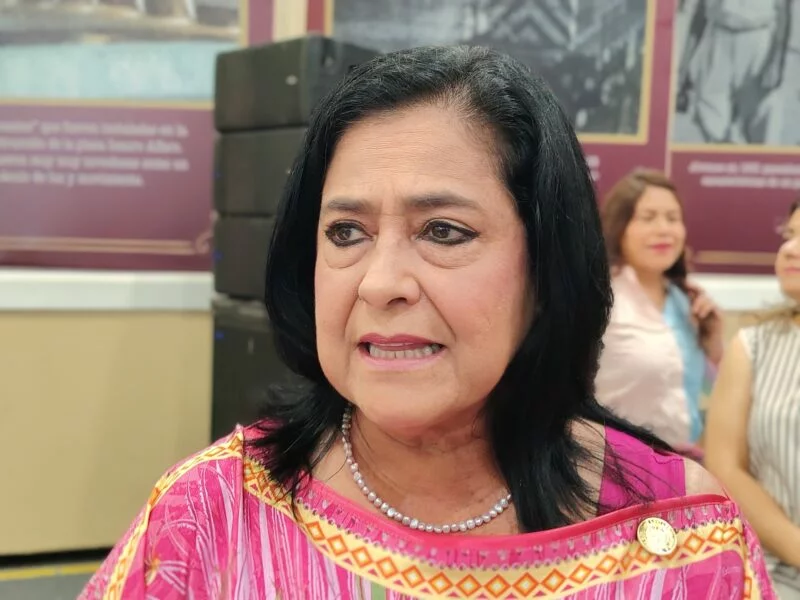 Infancia y justicia, ejes de una agenda legislativa inconclusa