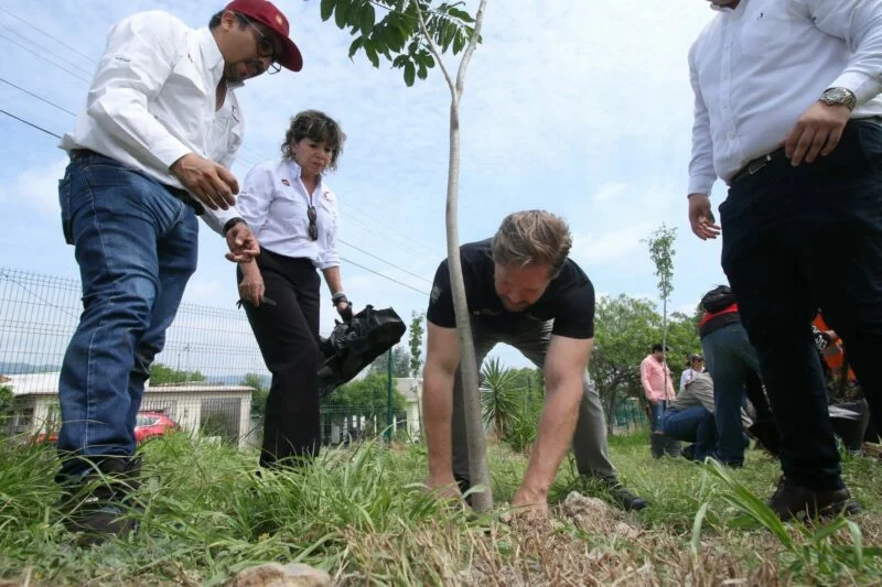 Fortalece SEDUMA reforestación urbana en Parques del Bienestar